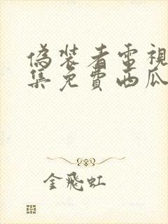 伪装者电视剧全集免费西瓜网