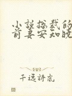 小说总裁的替身前妻安知晓