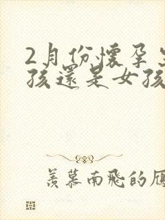 2月份怀孕生男孩还是女孩几率大