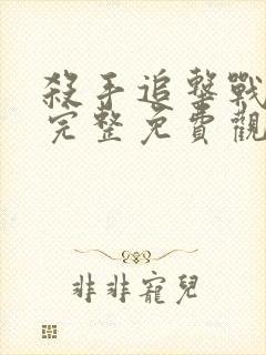 杀手追击战电影完整免费观看中文封面