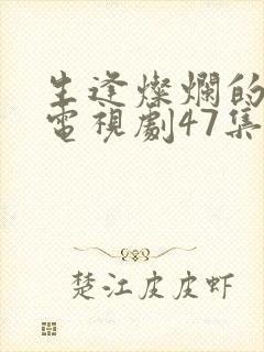 生逢灿烂的日子电视剧47集免费观看