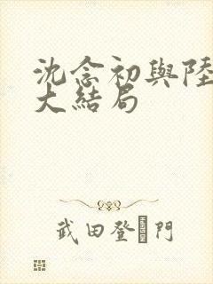 沈念初与陆临洲大结局