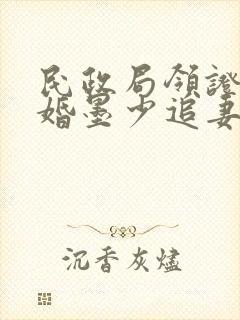 民政局领证,闪婚墨少追妻忙 云起莫离封面