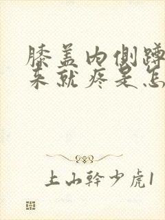 膝盖内侧蹲着起来就疼是怎么回事