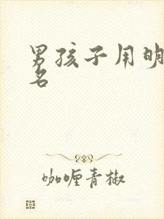 男孩子用明字起名