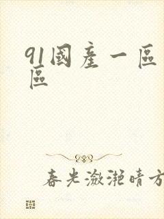 91国产一区二区