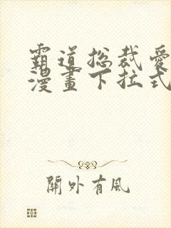 霸道总裁爱上我漫画下拉式免费