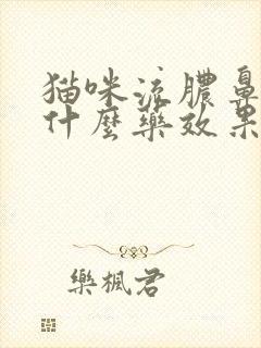 猫咪流脓鼻涕吃什么药效果好