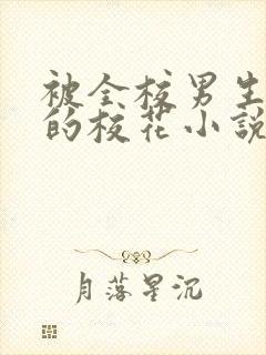 被全校男生围观的校花小说最新章节