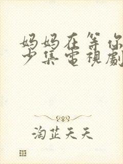 妈妈在等你有多少集电视剧