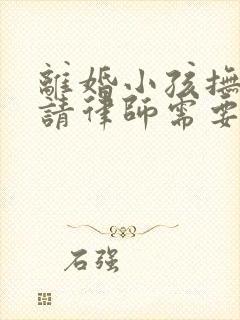 离婚小孩抚养权请律师需要多少钱