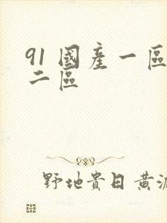 91 国产一区二区封面