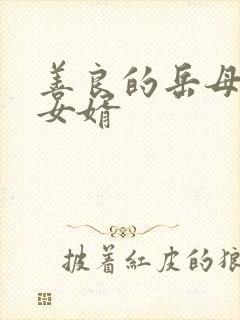 善良的岳母爱上女婿