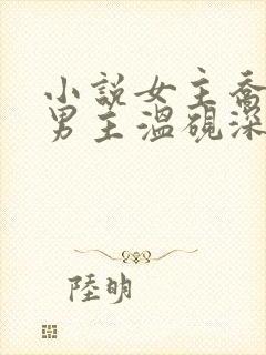 小说女主乔予安男主温砚深