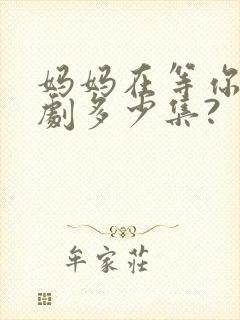 妈妈在等你电视剧多少集?封面