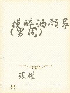 摸醉酒领导裤裆(男同)