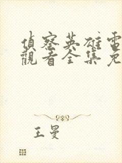 侦察英雄电视剧观看全集免费播放