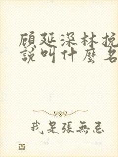 顾延深林挽音小说叫什么名字