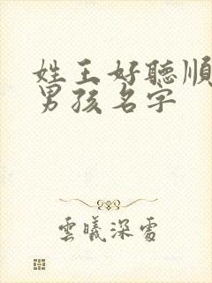 姓王好听顺口的男孩名字