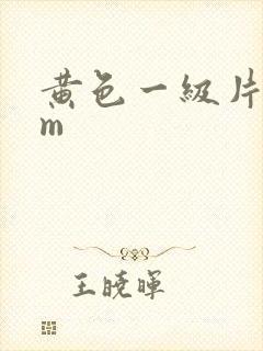 黄色一级片com