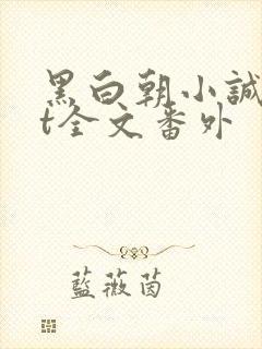 黑白朝小诚txt全文番外封面