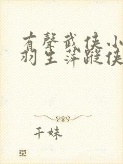 有声武侠小说梁羽生萍踪侠影