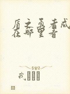 盾之勇者成名录在哪里看