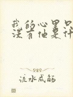 我的心里只有你没有他是什么歌