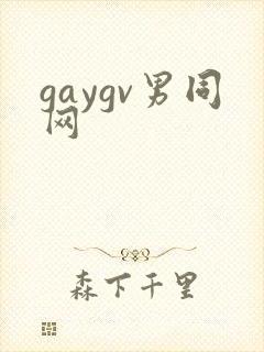 gaygv男同网