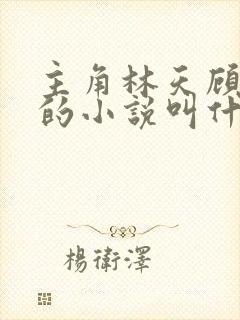 主角林天顾悦瑶的小说叫什么