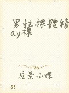 男性裸体精光gay裸