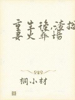 重生后,渣总追妻火葬场