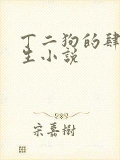 丁二狗的肆意人生小说