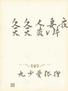 久久人妻夜夜做天天爽v片