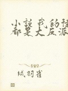 小说 我的徒弟都是大反派