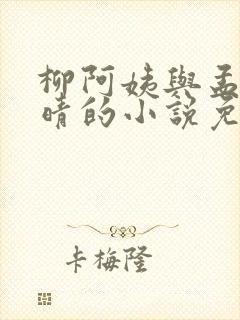 柳阿姨与孟思雨晴的小说免费阅读下封面