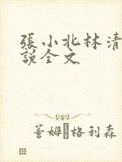 张小北林清清小说全文