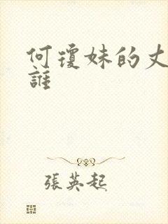 何琼妹的丈夫是谁封面