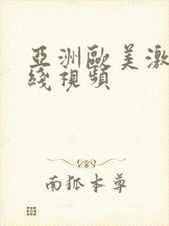 亚洲欧美激情在线视频