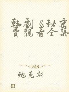 韩剧《秘密》免费观看全集电视剧中封面