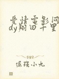 爱情电影网aqdy翔田千里