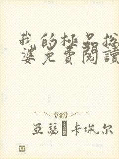 我的极品总裁老婆免费阅读封面