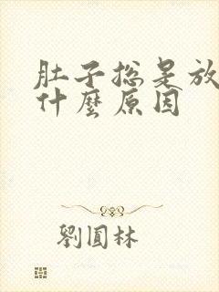 肚子总是放屁是什么原因