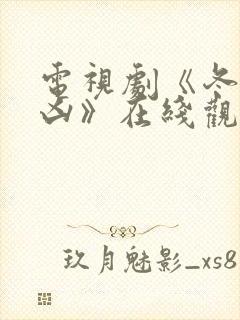 电视剧《冬城猎凶》在线观看