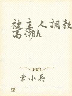 被主人调教当众高潮h