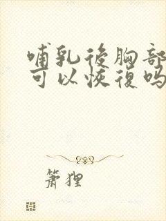 哺乳后胸部变小可以恢复吗