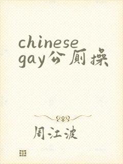 chinesegay公厕操