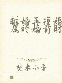 离婚再复婚财产属于婚前财产吗