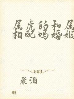 属虎的和属羊的相配吗婚姻封面