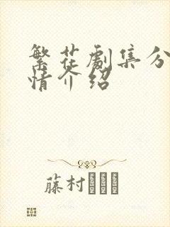 繁花剧集分集剧情介绍